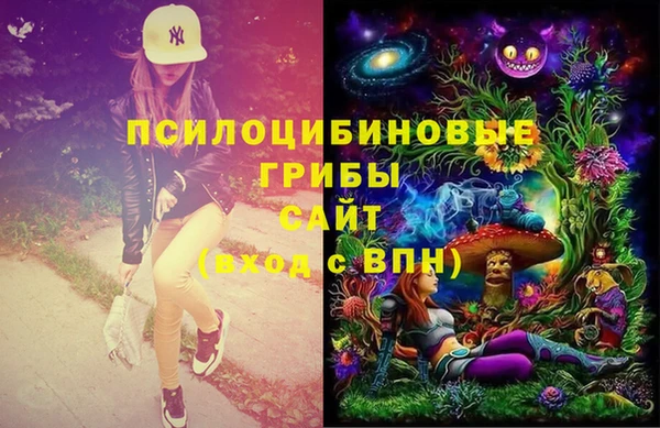 ПСИЛОЦИБИНОВЫЕ ГРИБЫ Абдулино