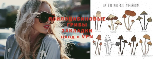 спайс Алзамай