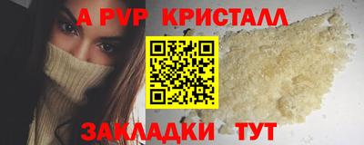 шишки Новодвинск