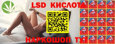 шишки Новодвинск