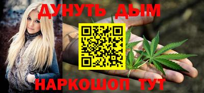 шишки Новодвинск