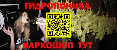 молекула духа Новокубанск