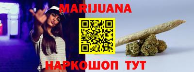 шишки Новодвинск