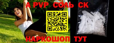 шишки Новодвинск
