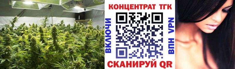 Дистиллят ТГК THC oil  блэк спрут онион  Шадринск 