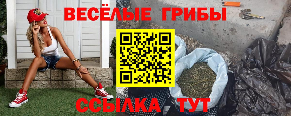 Псилоцибиновые грибы ЛСД  Вход с VPN  Галлюциногенные грибы GOLDEN TEACHER  Шадринск 